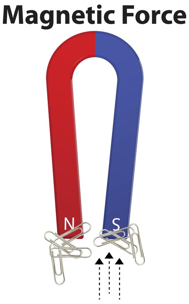 Magnetic Force horseshoes pick paper clips up on white background vector