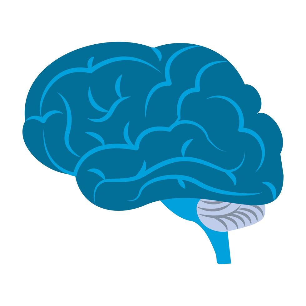 Blue brain icon vector