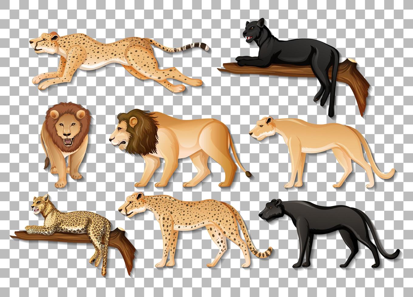 Conjunto de animales africanos salvajes aislados sobre fondo transparente vector