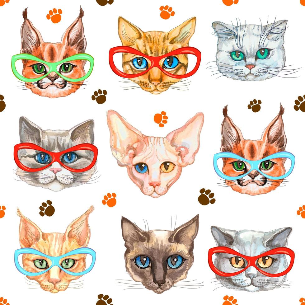 patrón sin costuras con gatos de moda en gafas vector