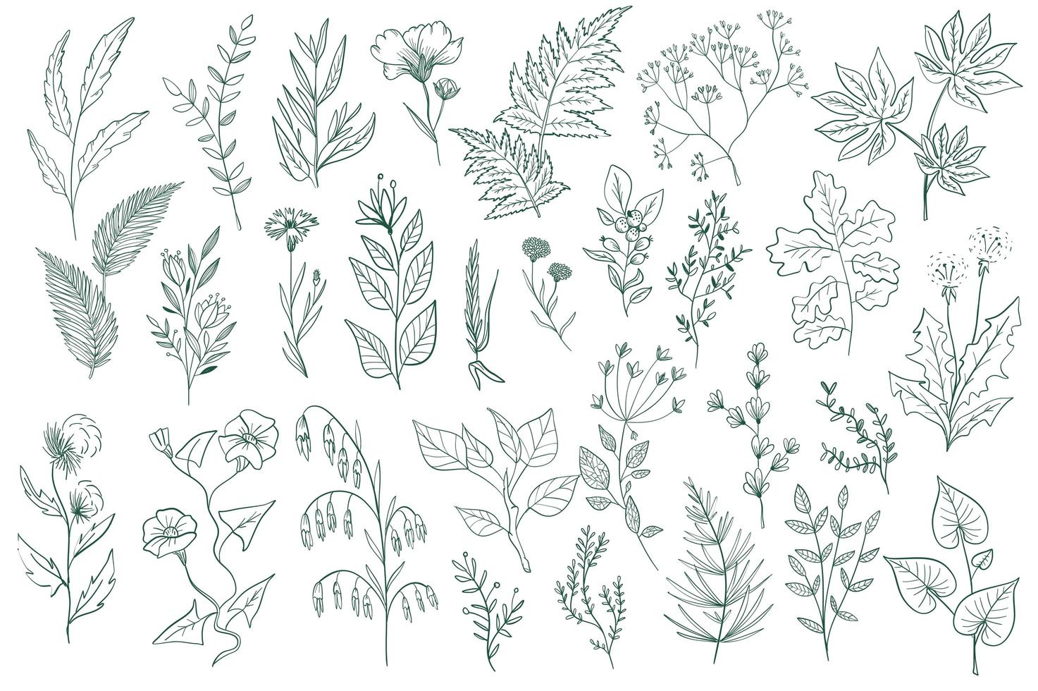 Wildflower decorative outline elements set vector