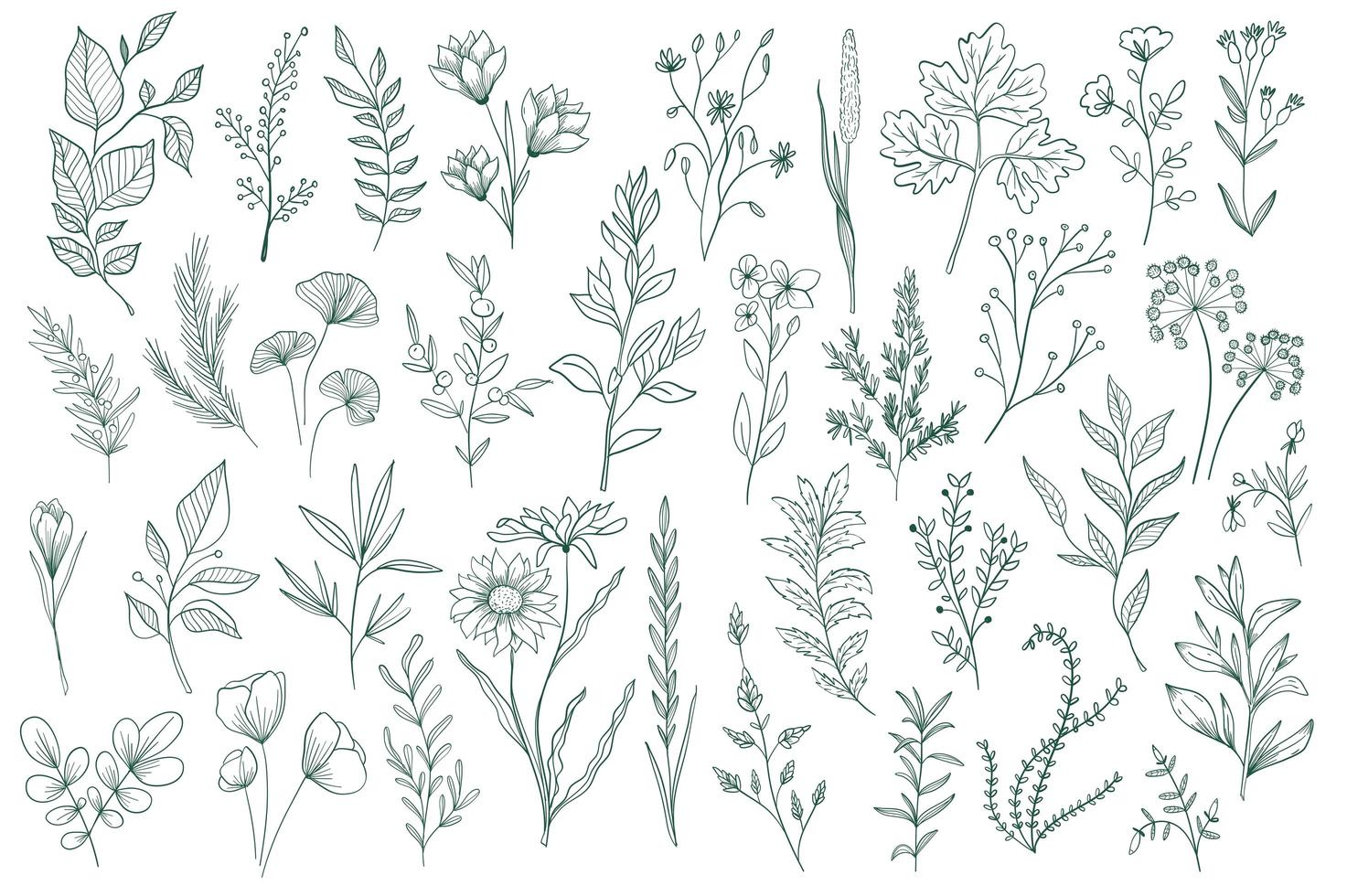 Bundle of hand drawn floral decorative elements vector