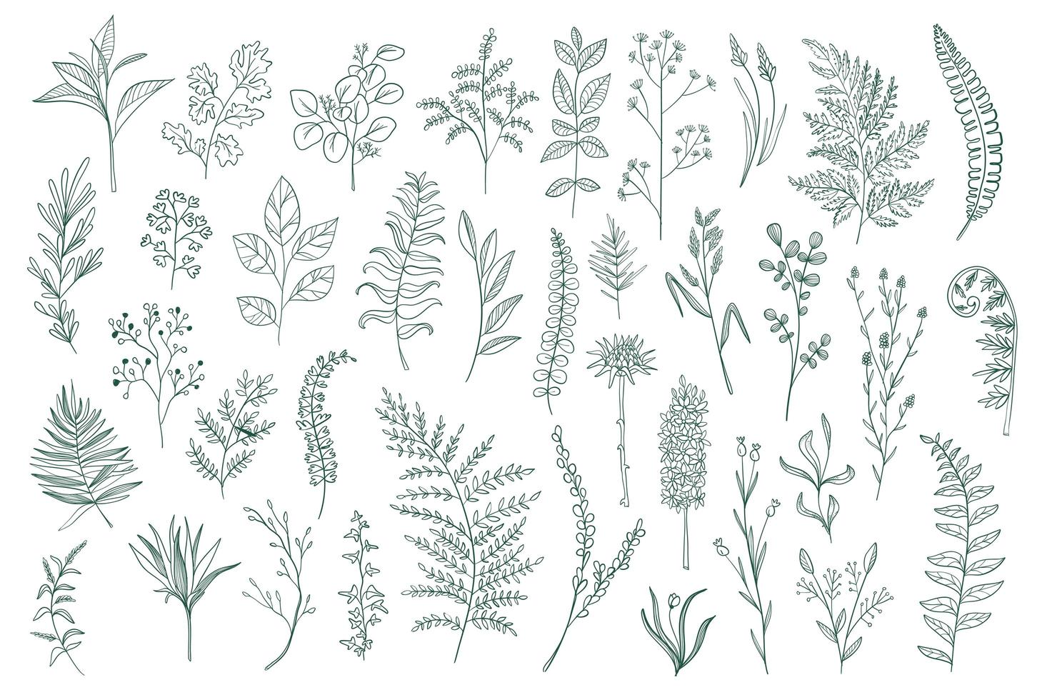 paquete de diseño botánico dibujado a mano vector