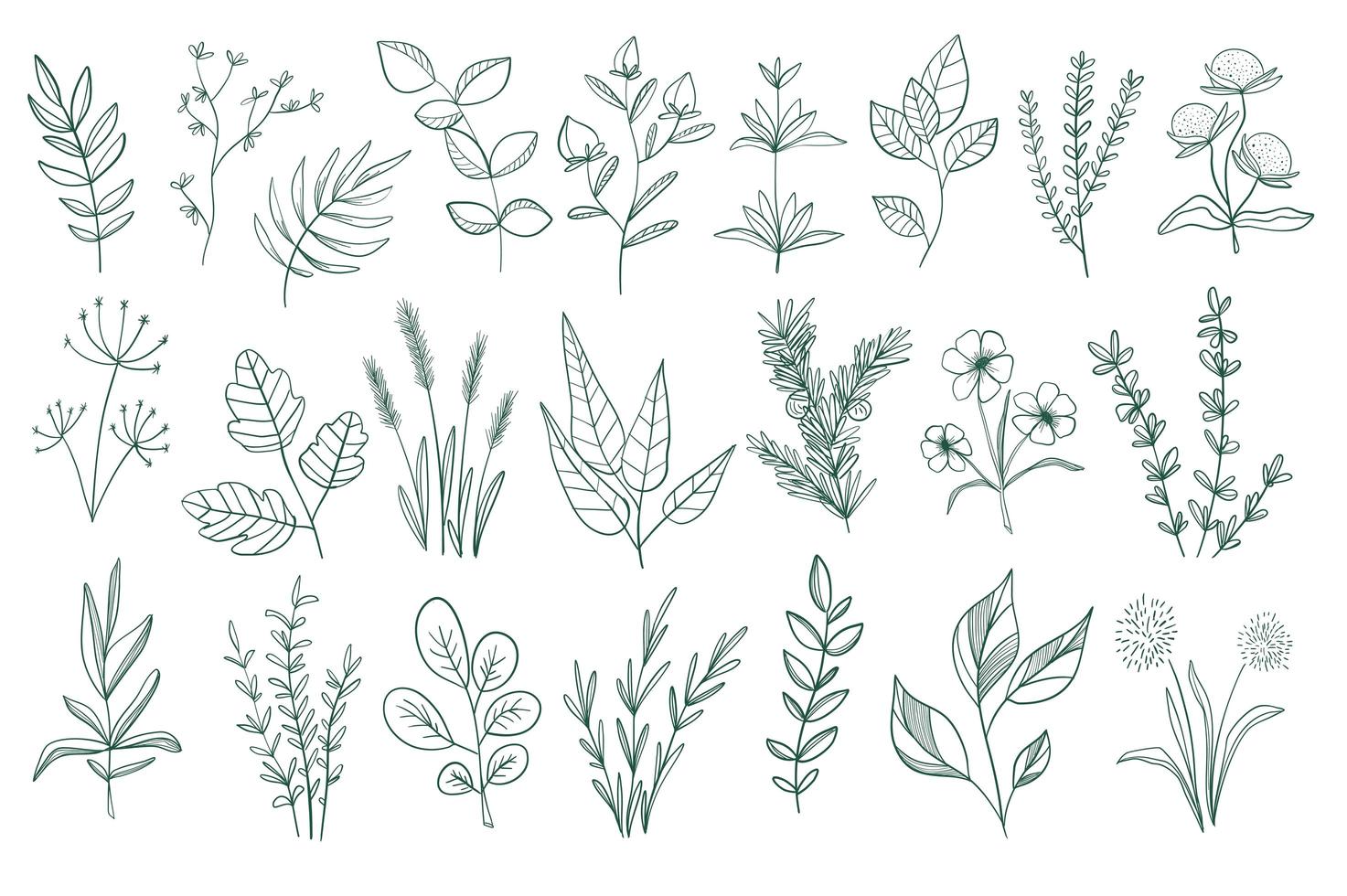 Bundle of floral decorative elements vector