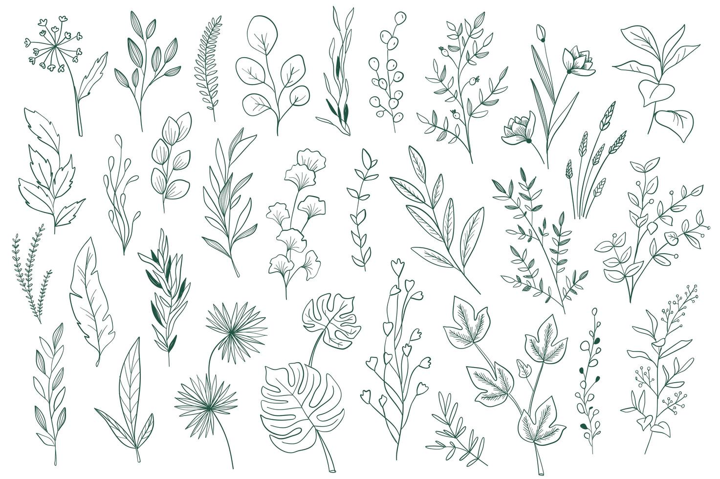 Botanical elements, outline graphic pack vector