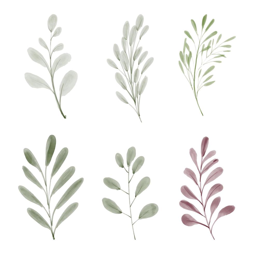 Hand painted watercolor leaf foliage element collection vector