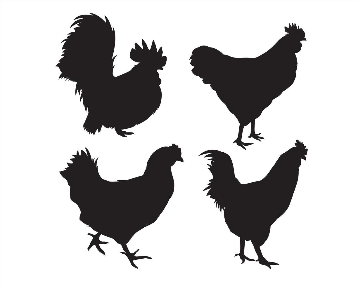 chicken silhouette set,  isolated vector on a white background