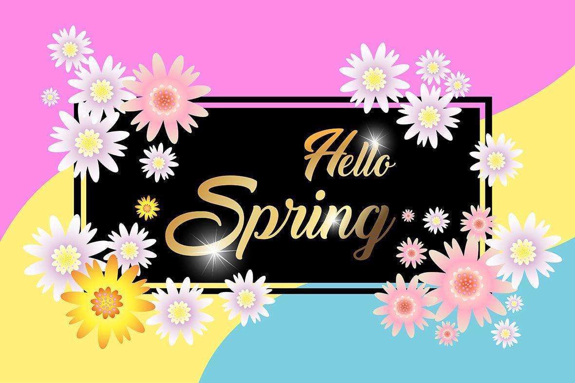 Hello Spring  card design, sale background vector