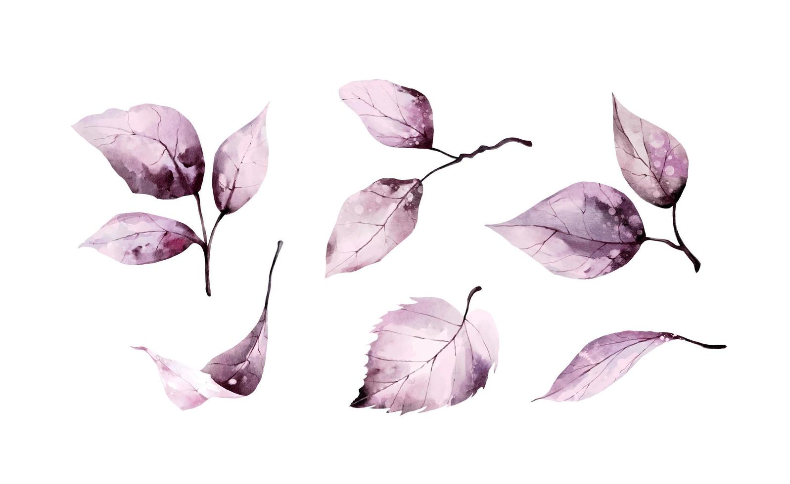 Pink watercolor leaves vector