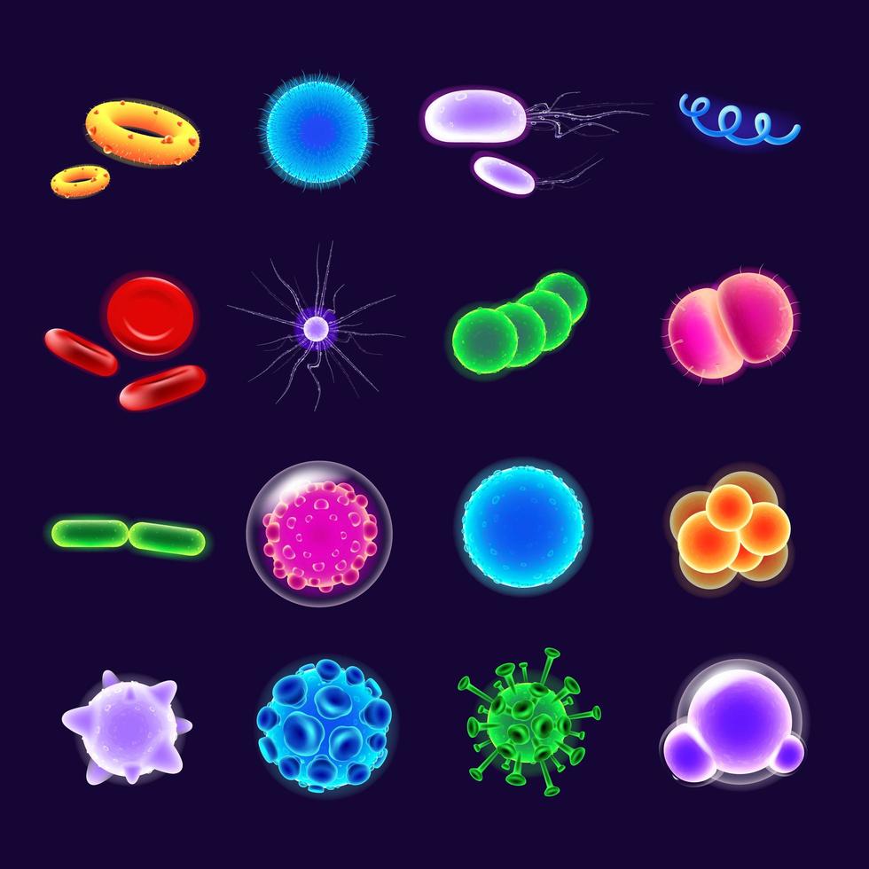 conjunto de iconos realistas de bacterias vector