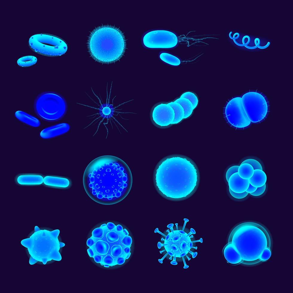 Bacteria realistic icons set vector