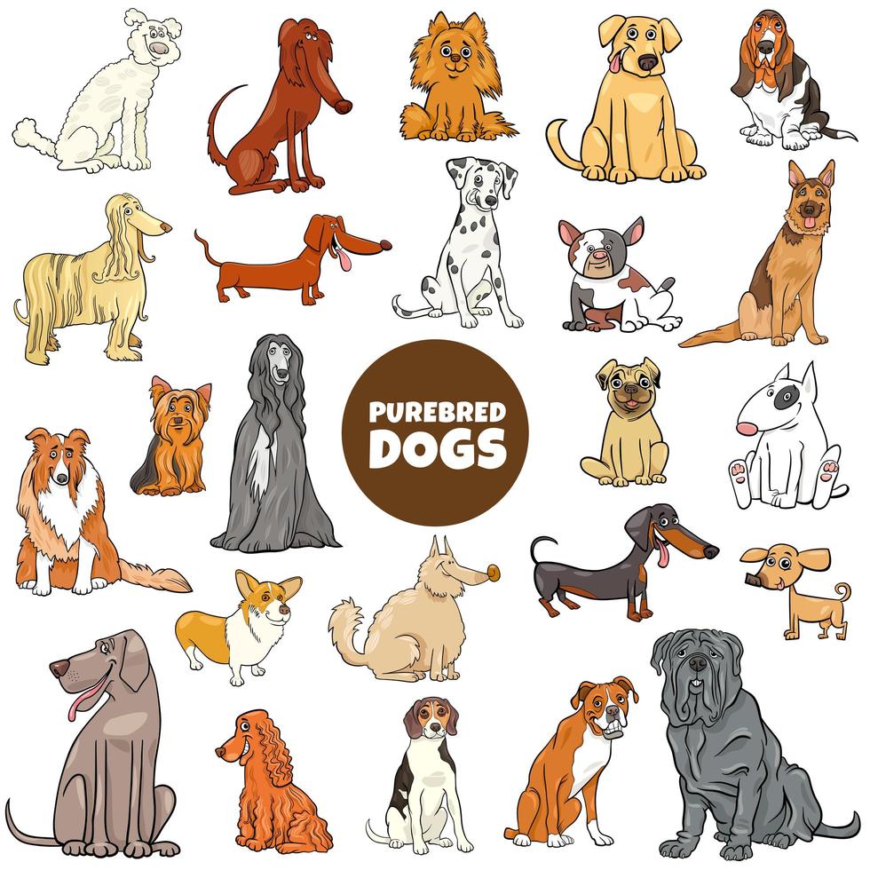 Cartoon purebred dog characters large set vector