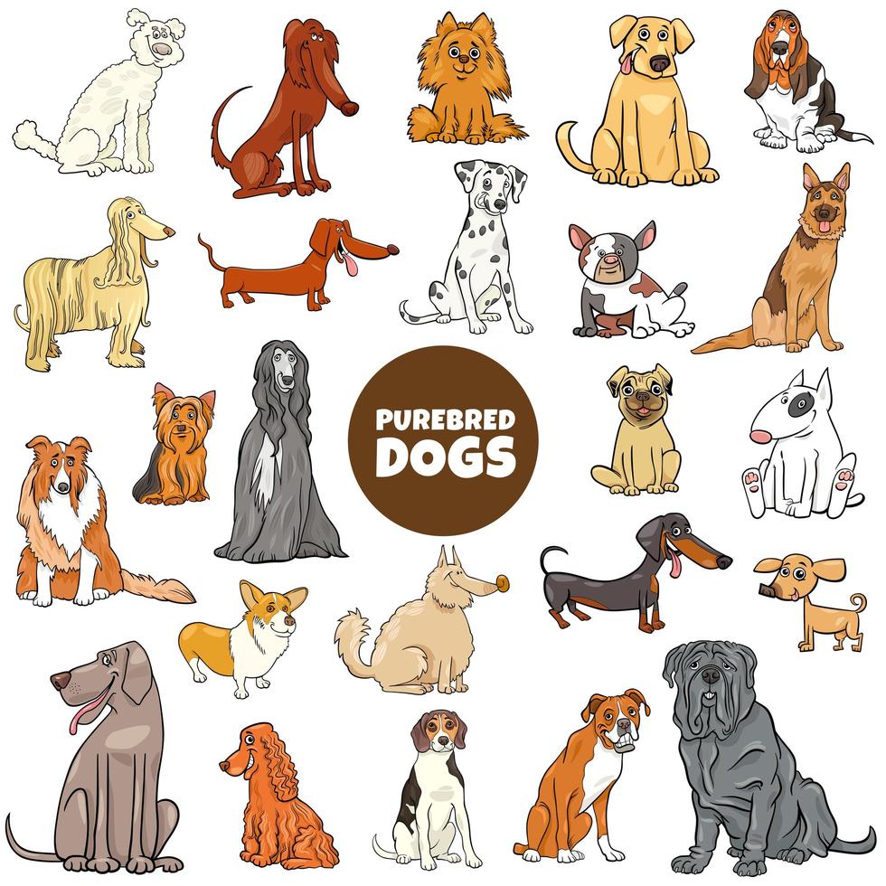 Cartoon purebred dog characters large set vector