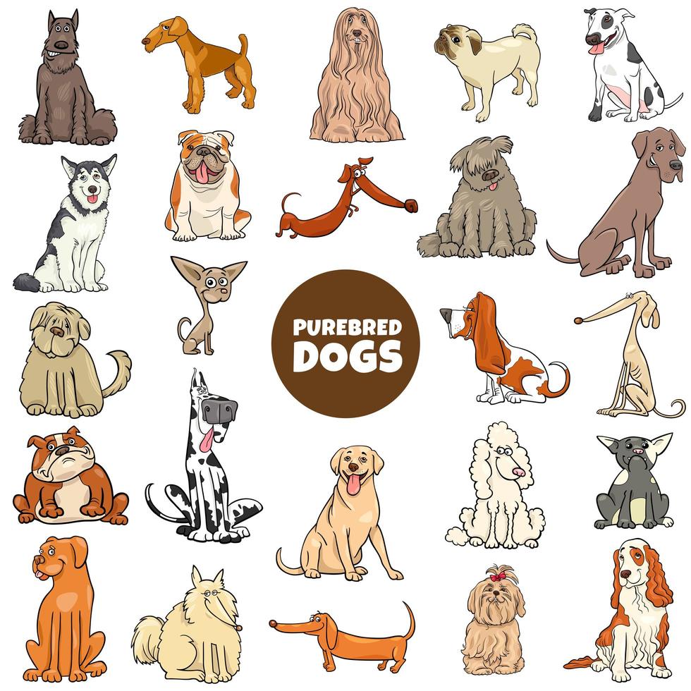 Cartoon purebred dogs characters large set vector
