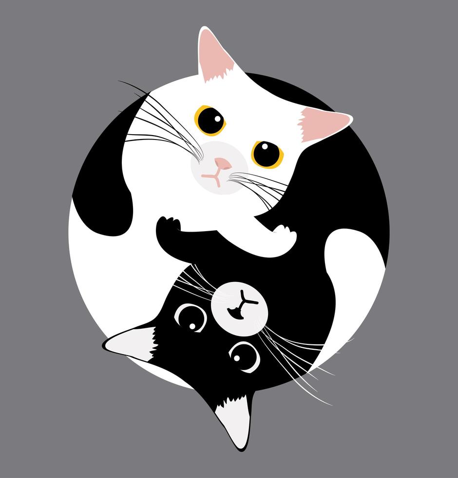 gatos yin yang duermen vector