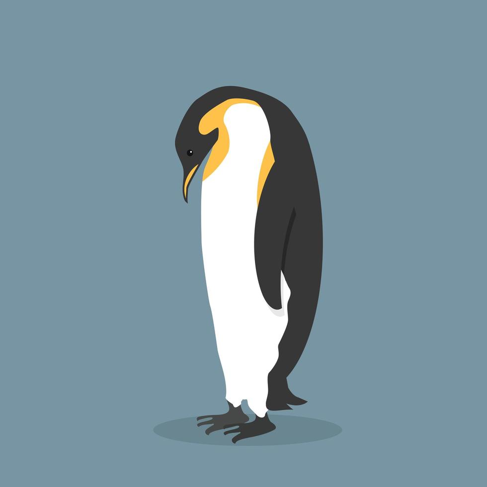 Illustration of emperor penguin vector