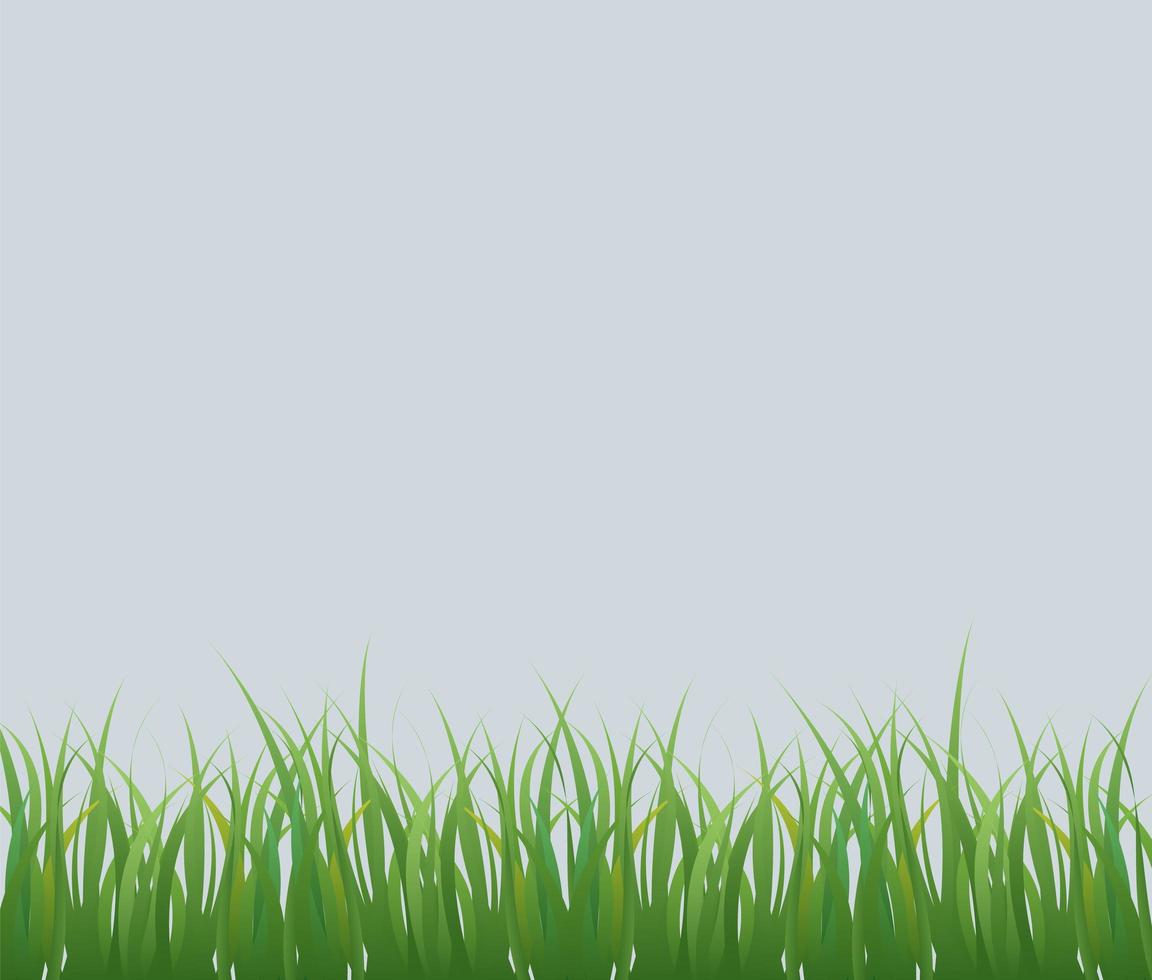 Conjunto de hierba verde aislado sobre fondo gris vector