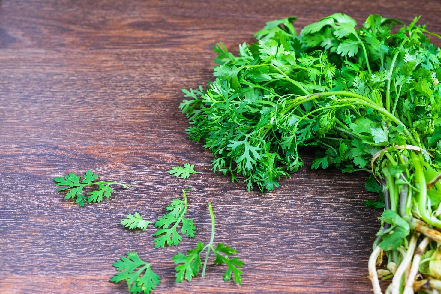 Bunch of coriander 1637417 Stock Photo at Vecteezy