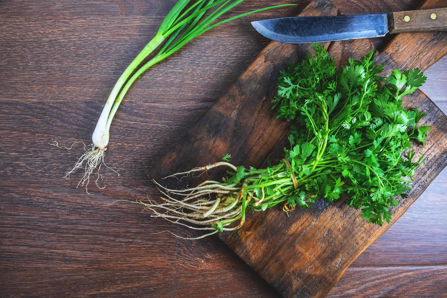 Fresh coriander on a chopping board photo