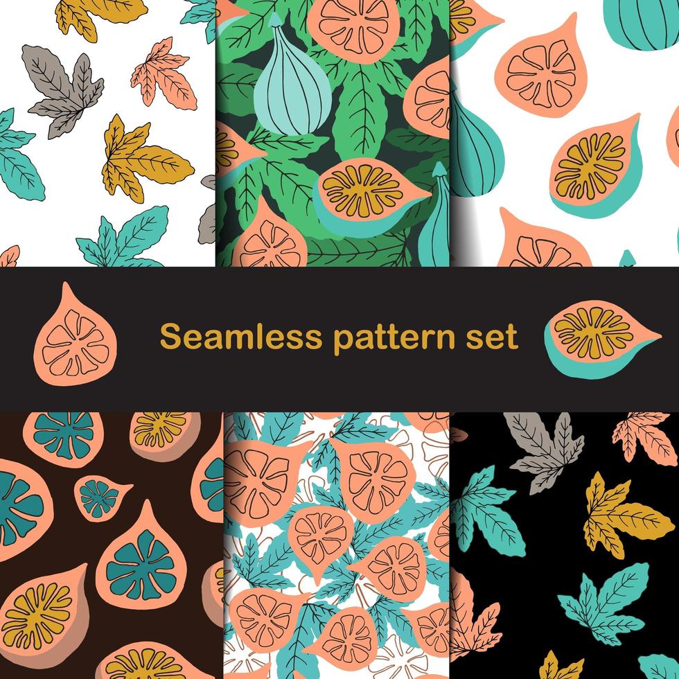 Fig and leaf pattern set in hand drawn style vector