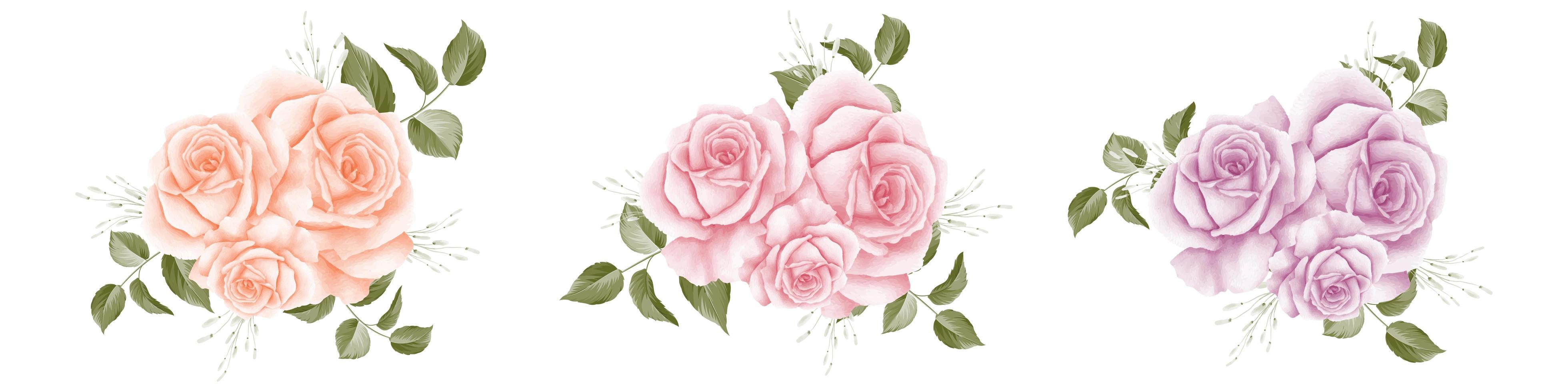 conjunto de ramo de rosas de acuarela vector