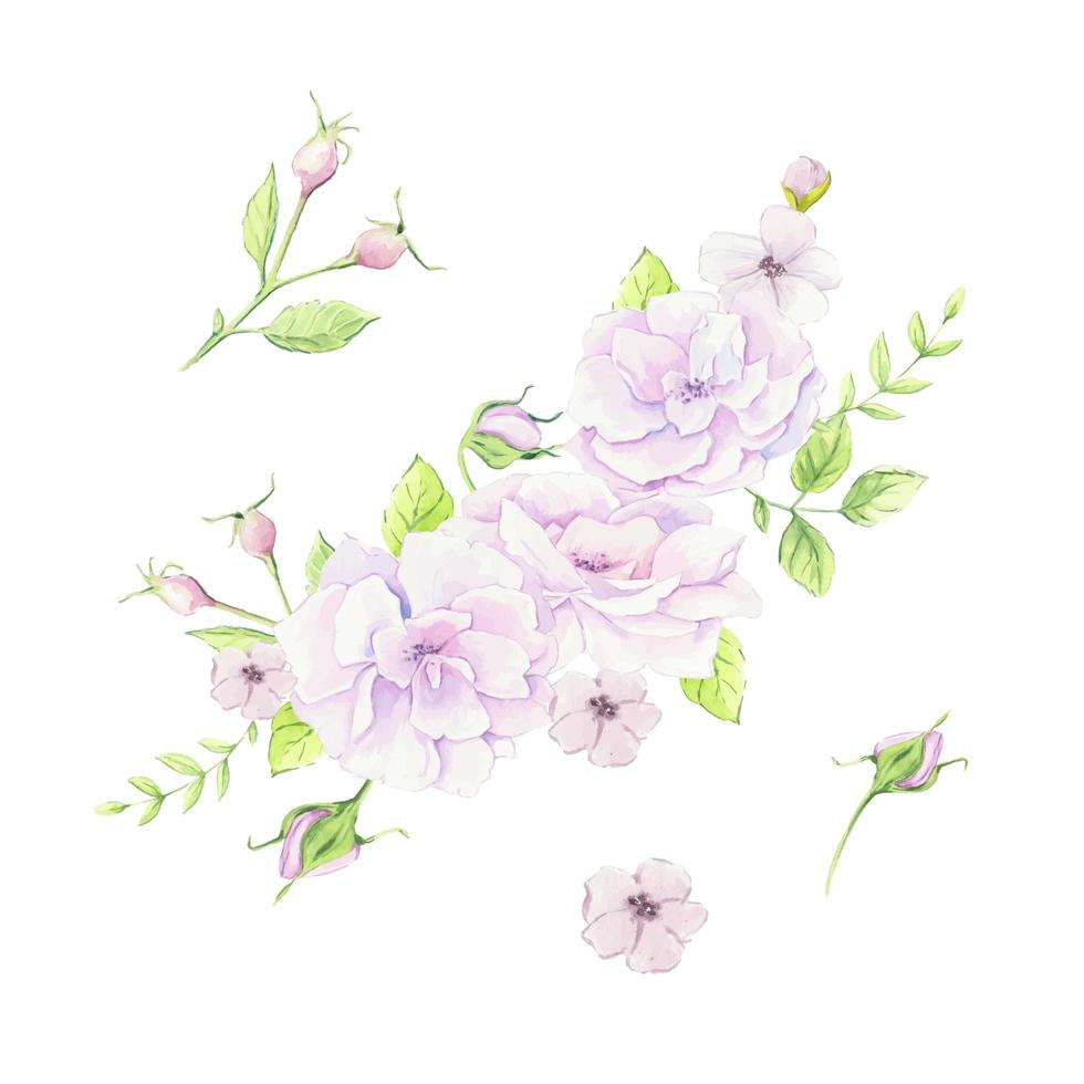 Watercolor bouquet of rosehip flowers vector