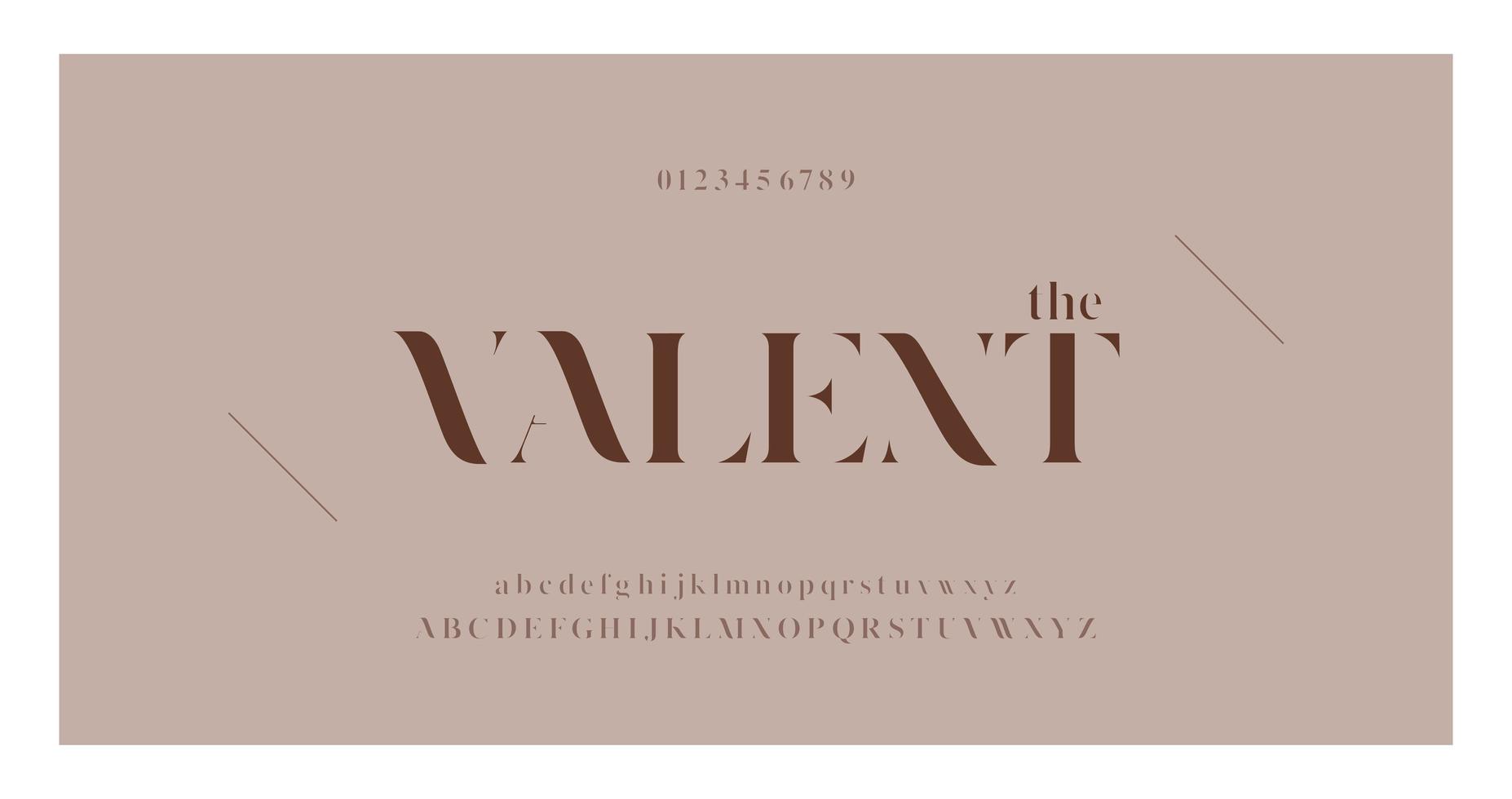 Elegant fashion font with letters and numbers vector