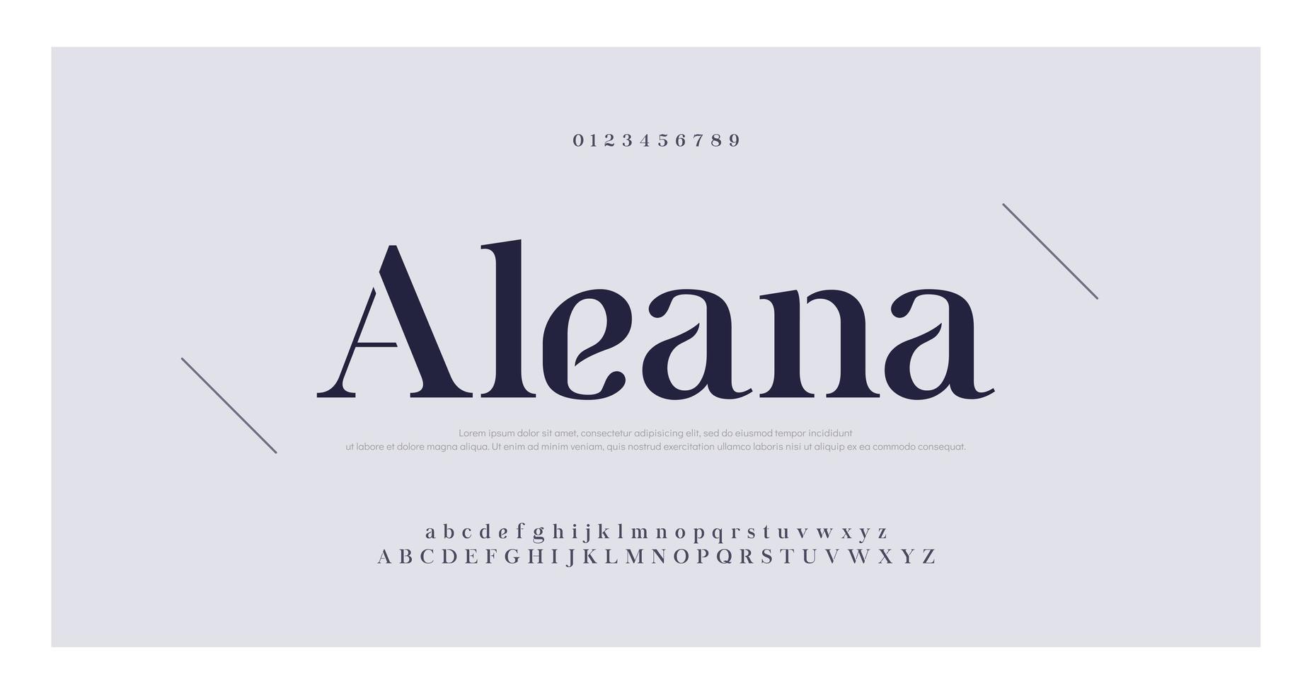 elegante número serif y fuente de letra vector