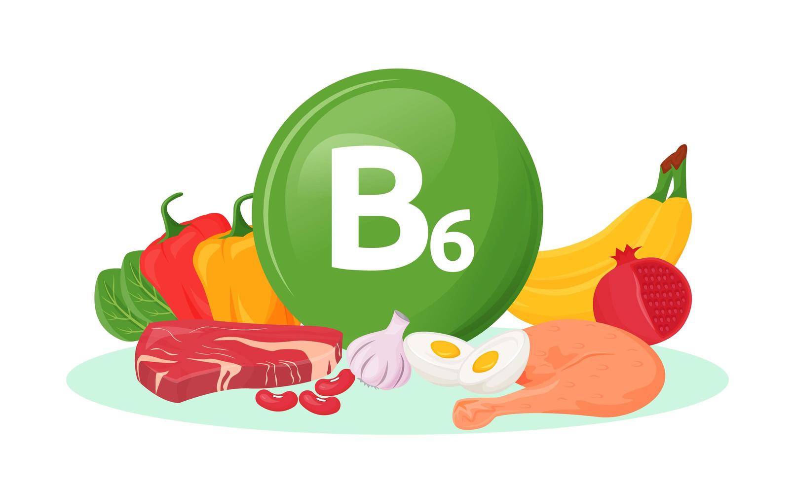 Vitamin B6 food sources vector