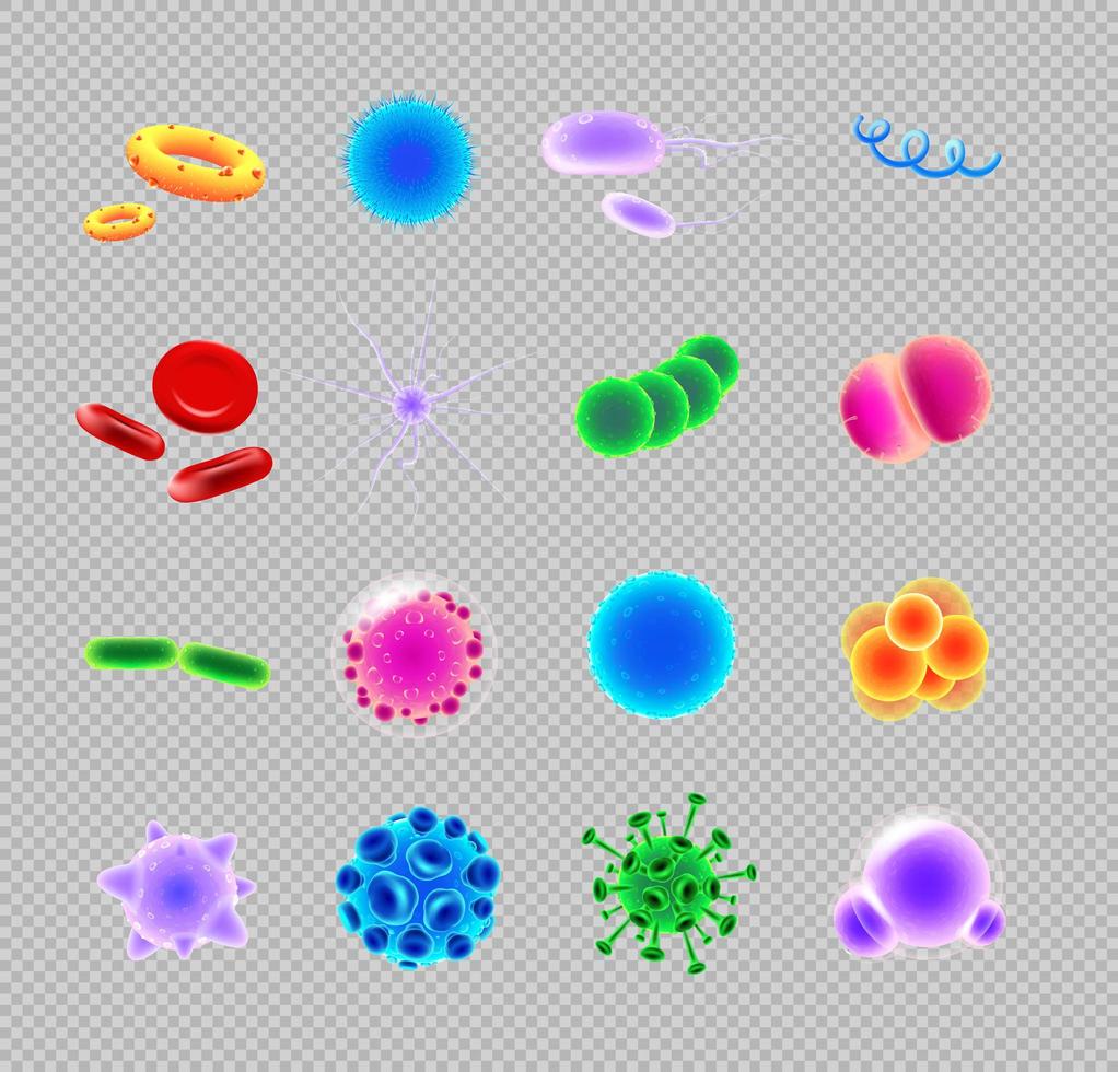 Bacteria and virus icons set vector