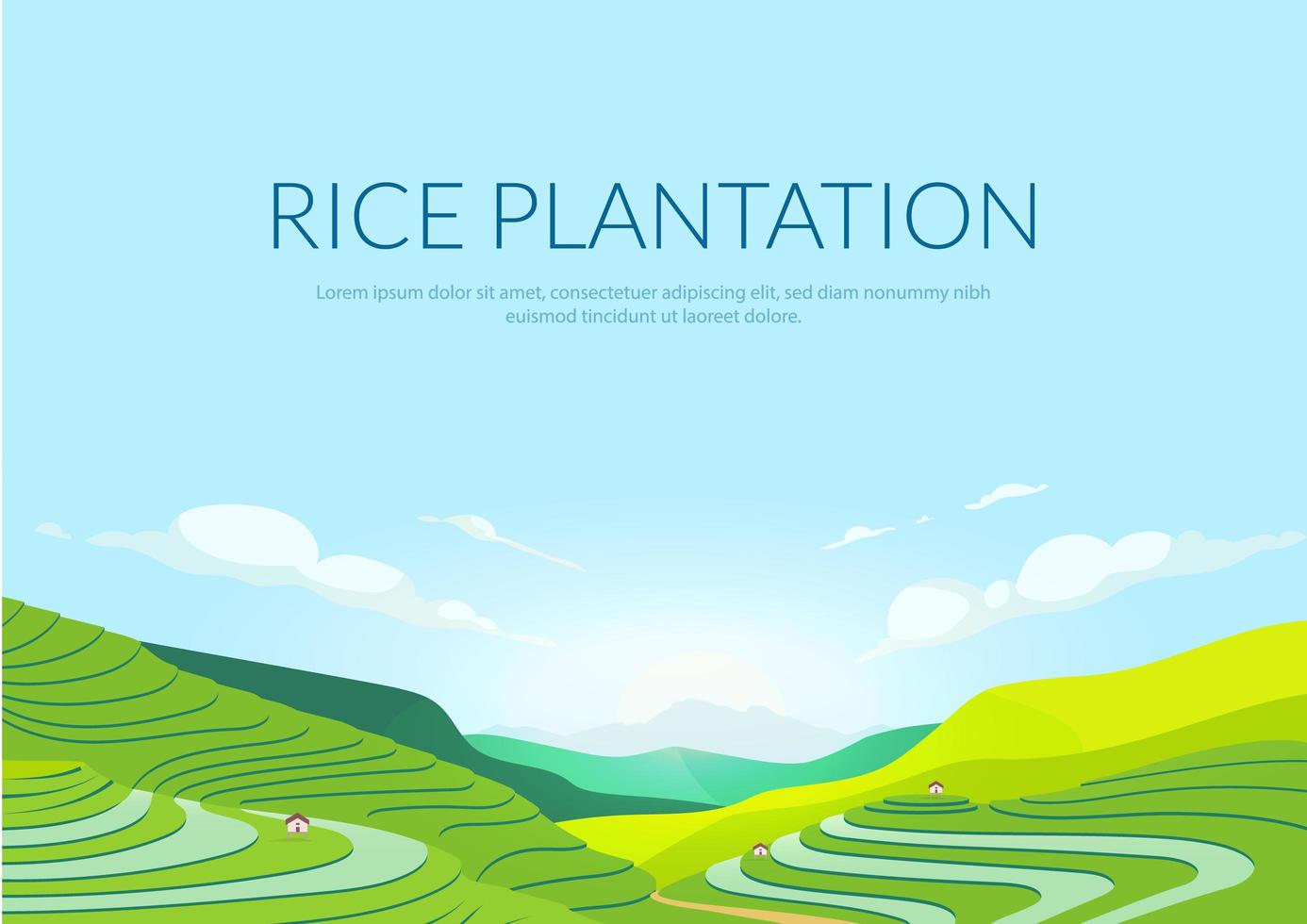 Terraced plantation poster vector