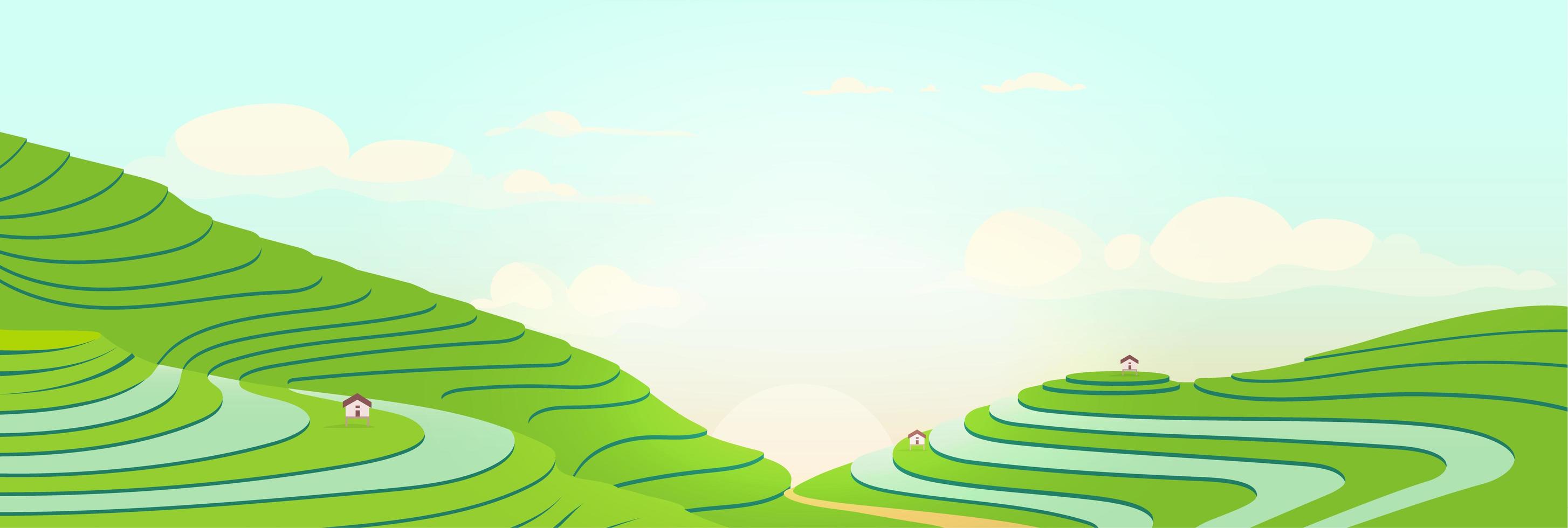 Terraced fields at sunrise vector