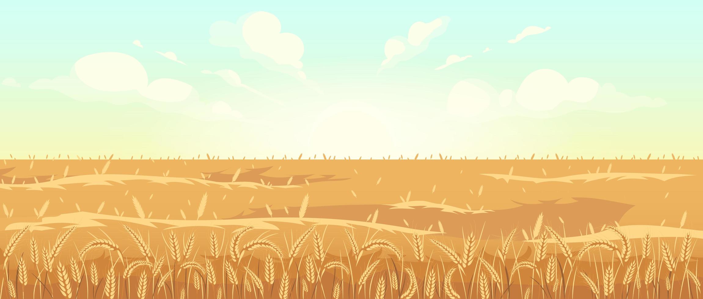 Golden wheat field vector