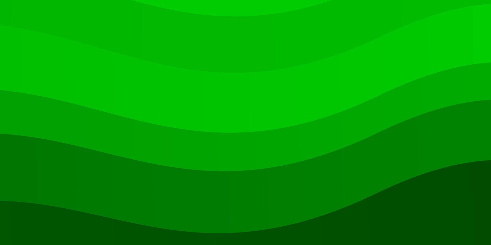 diseño verde claro con curvas. vector