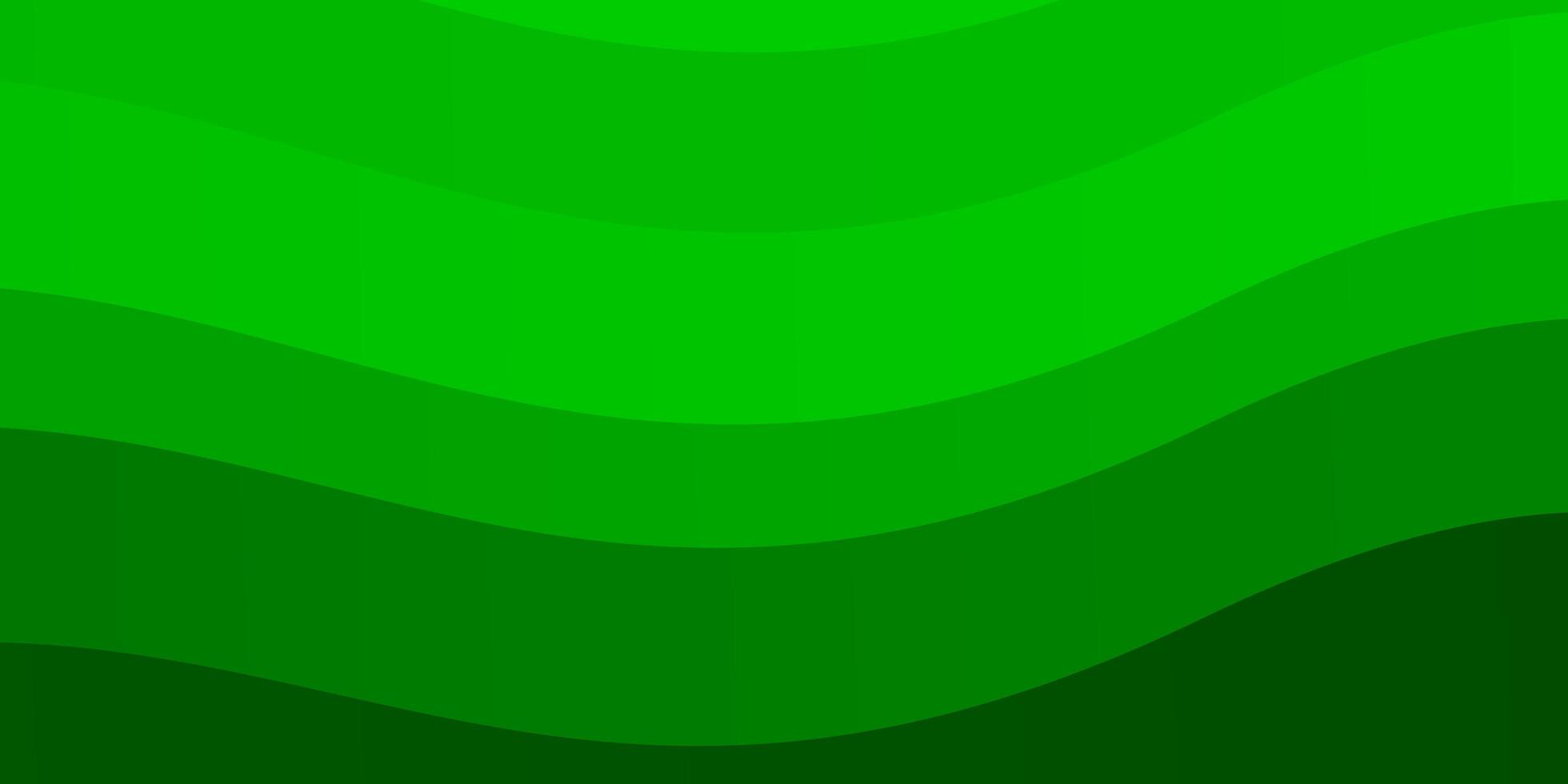 Light Green layout with curves. vector