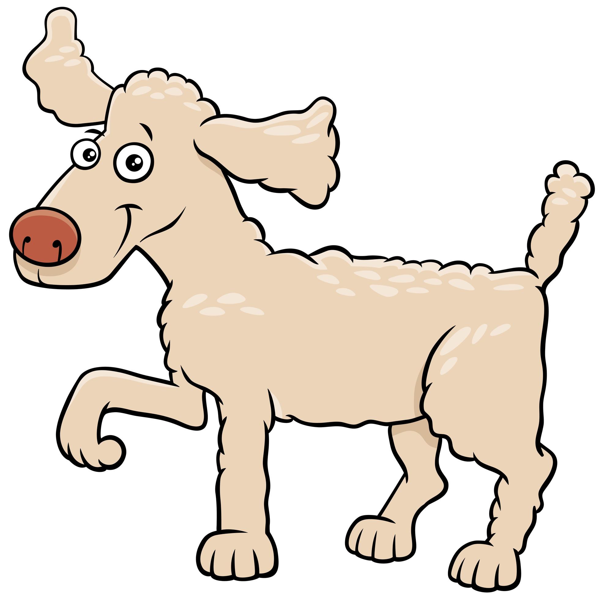 Cartoon poodle dog pet animal character 1664440 Vector Art at Vecteezy