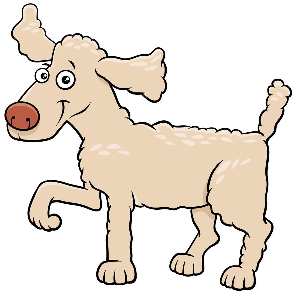 Cartoon poodle dog pet animal character vector