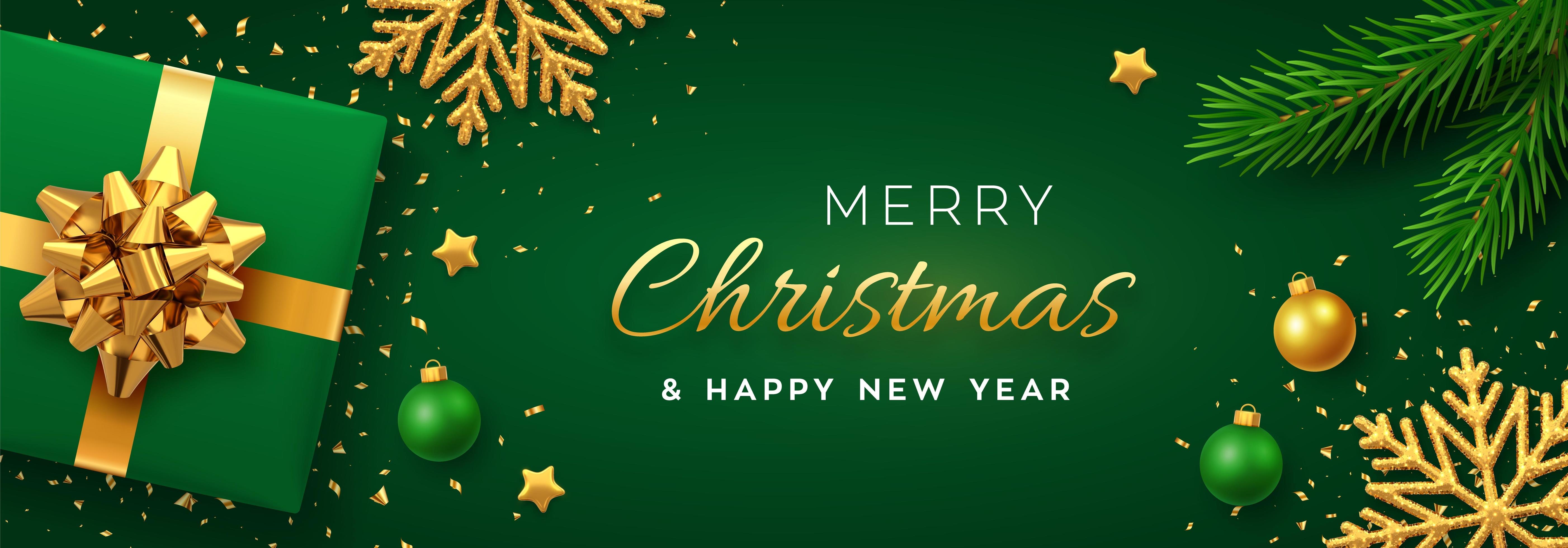 Green and gold Christmas banner with snowflakes and gift 1665449 Vector