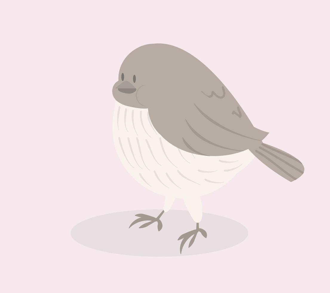 lindo pájaro gris vector