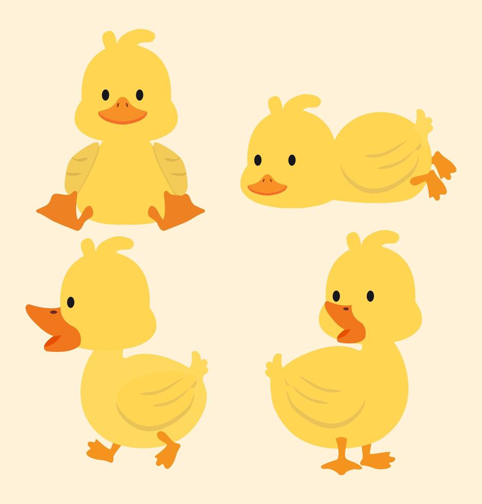 lindo conjunto de dibujos animados de patos amarillos vector