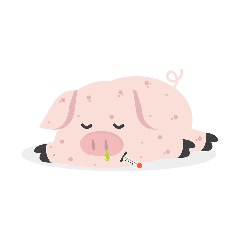 Sick Pig  Swine Flu vector