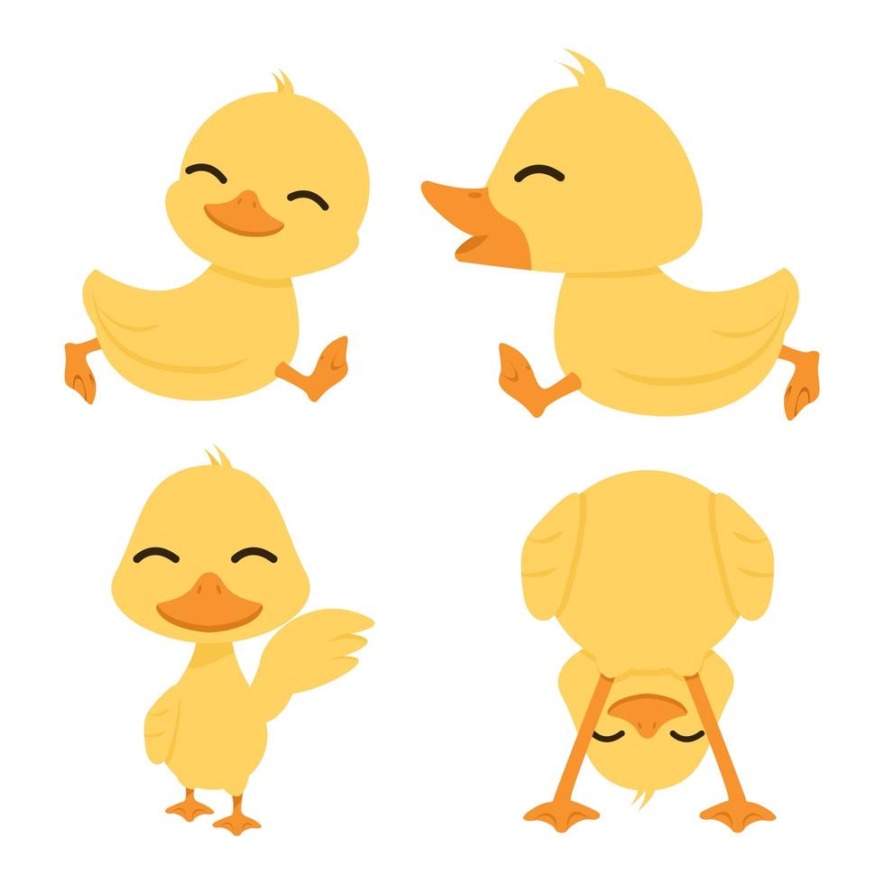 Cute little yellow ducks set vector