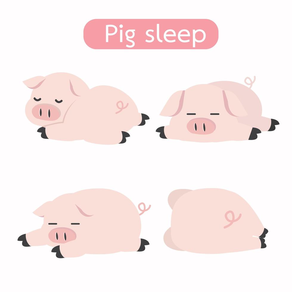 Set of Cute Sleeping Cartoon Pigs vector