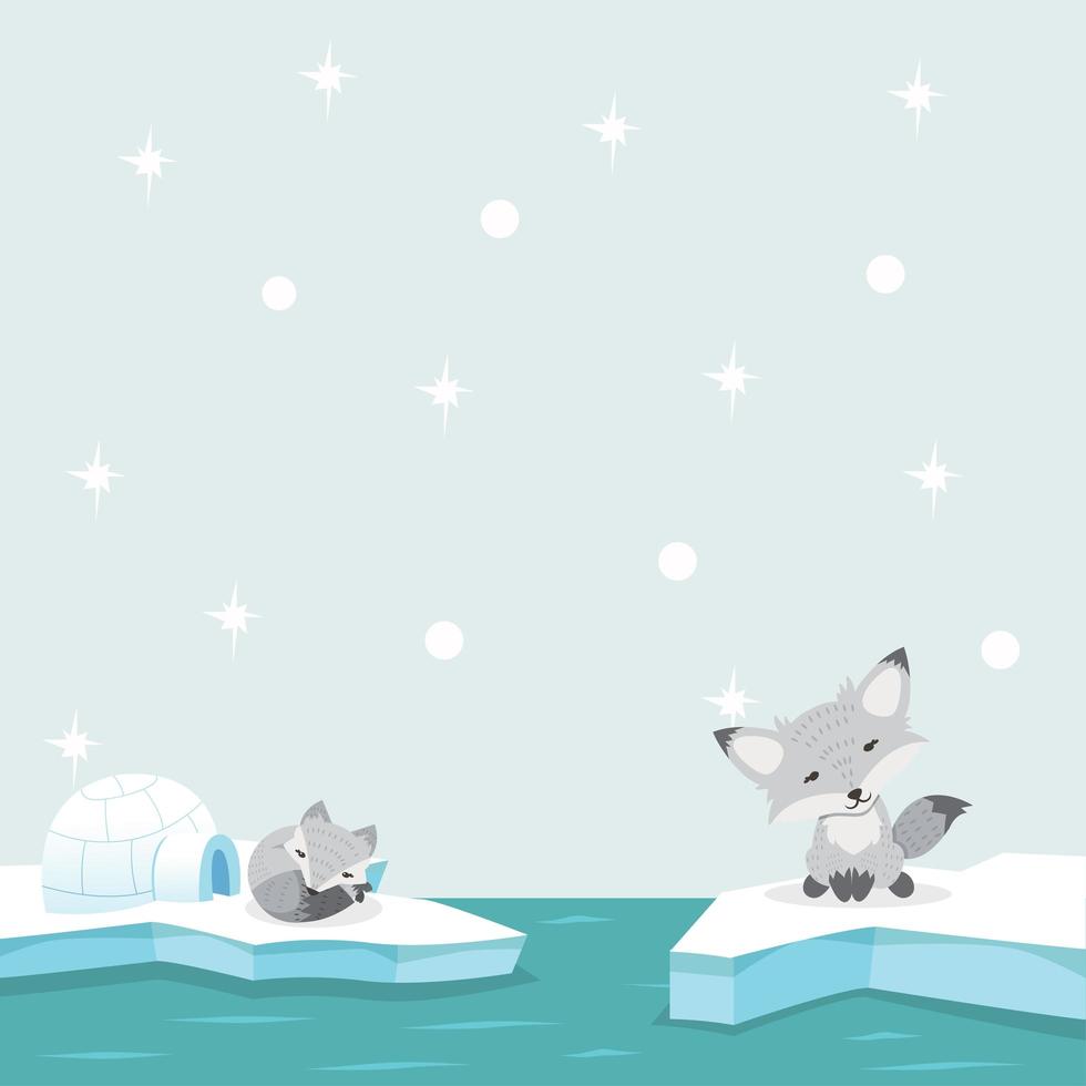 Lindos zorros árticos descansando sobre témpanos de hielo vector