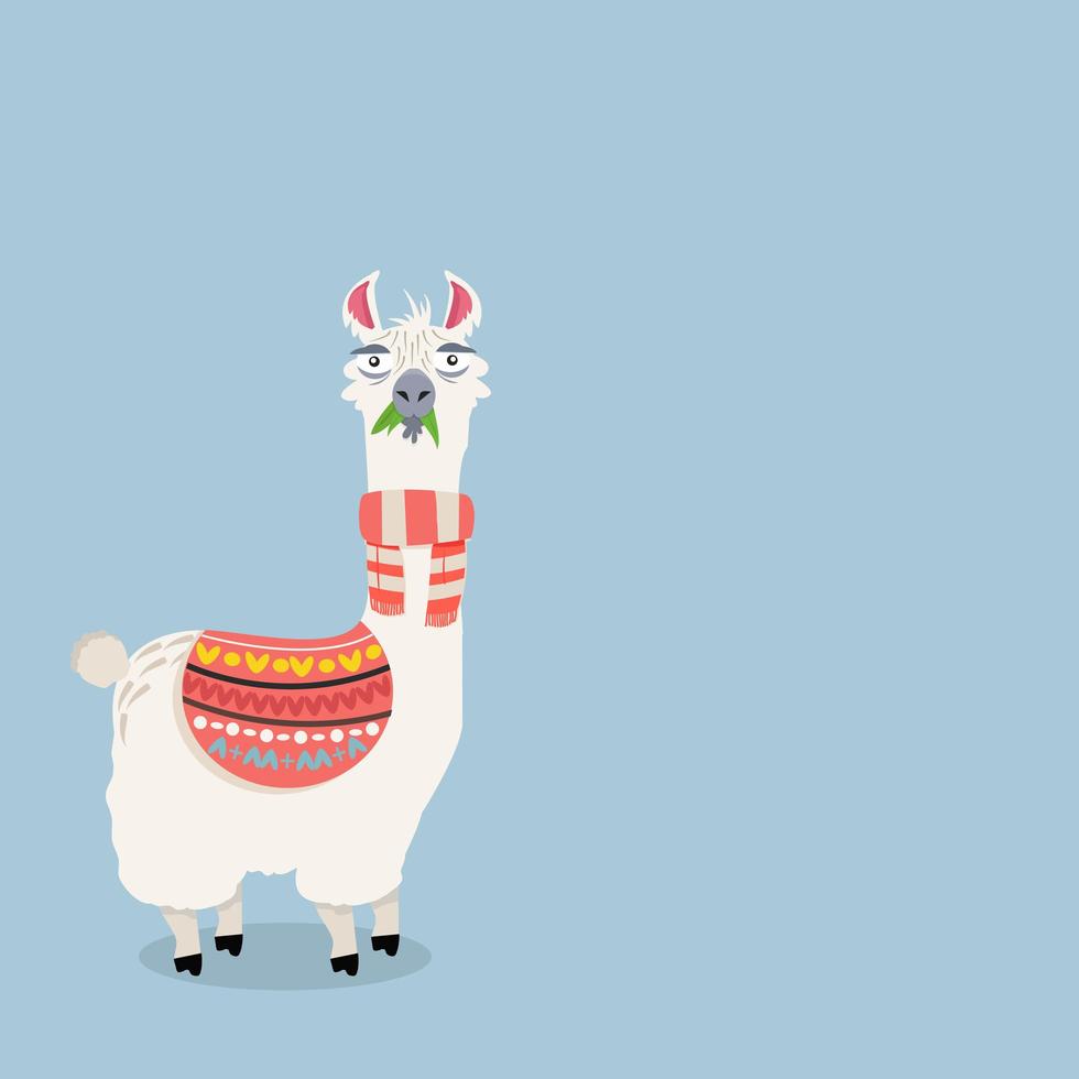 linda alpaca lama en bufanda colorida vector