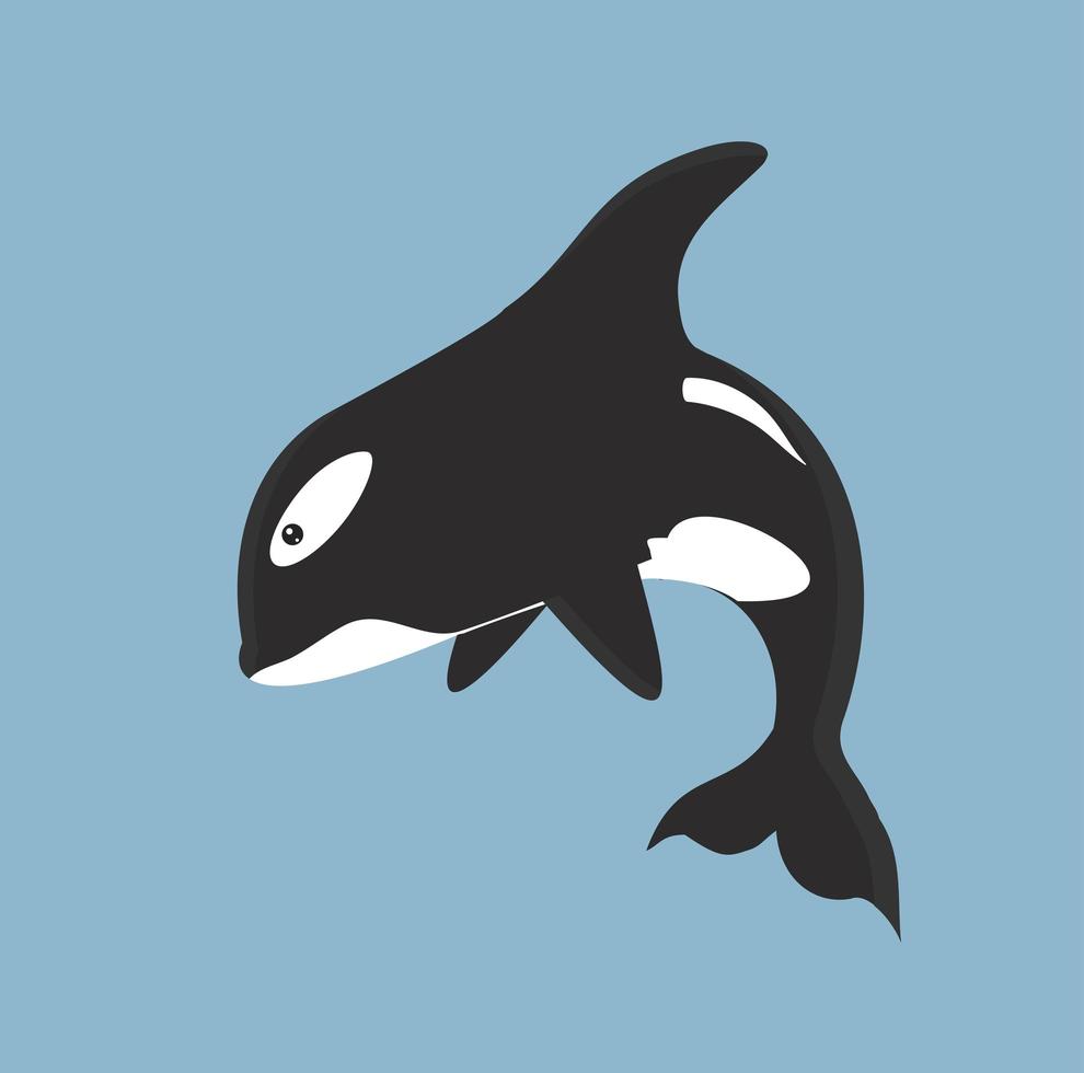 Killer whale jumping vector