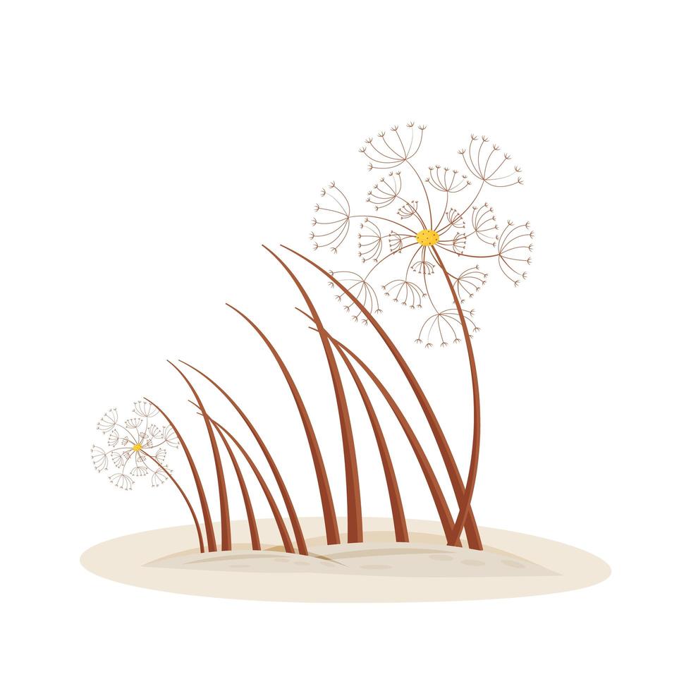 Summer Dandelion flower vector