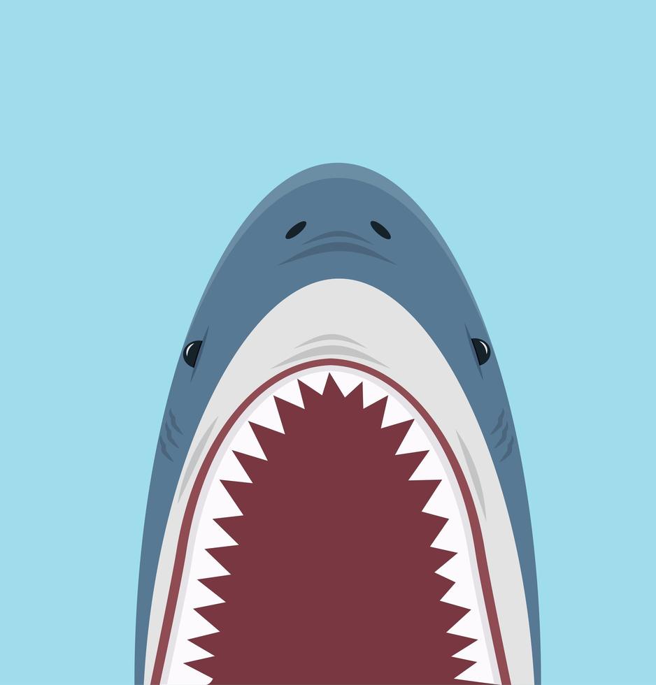 Scary shark with big open mouth with sharp teeth vector
