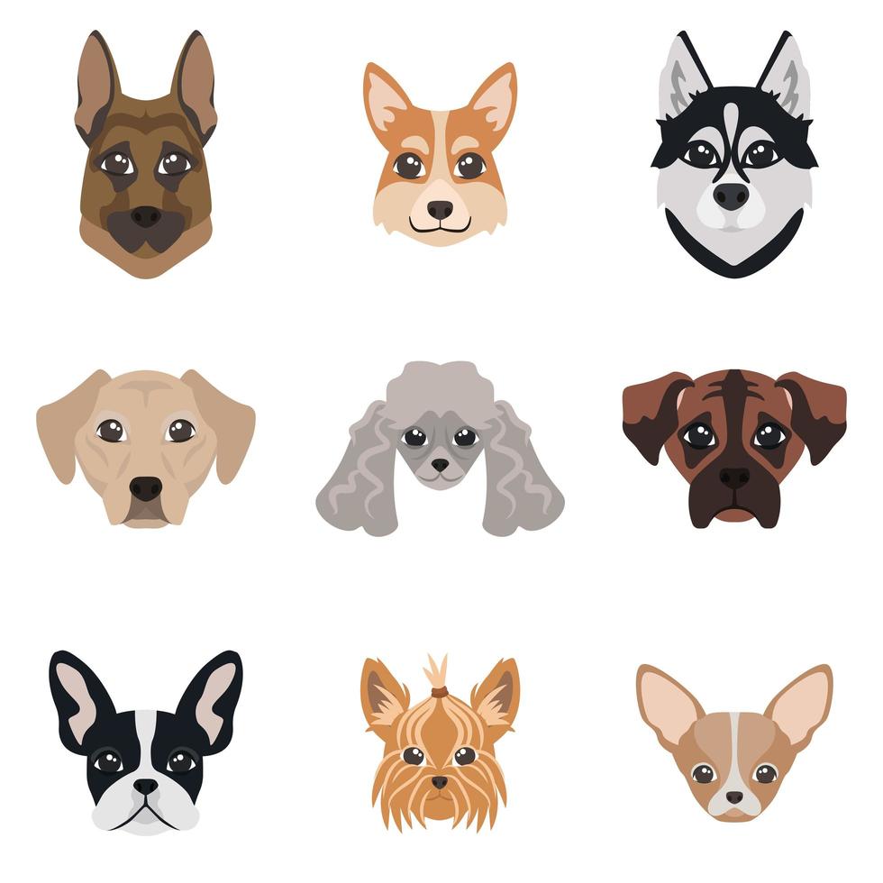 Collection of dog faces vector