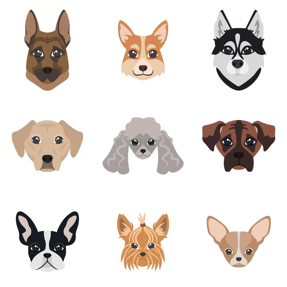 colección de caras de perros vector